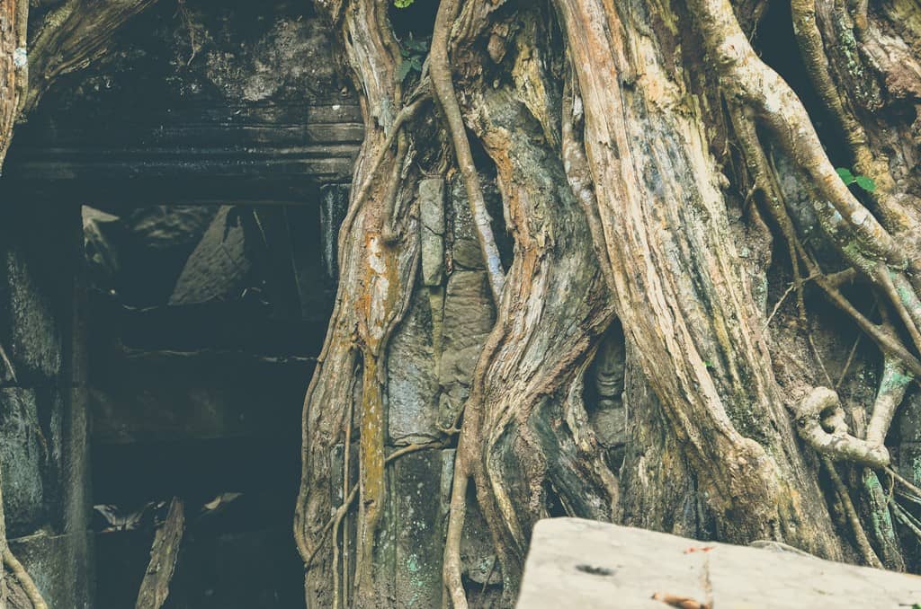 Bức tượng Phật mỉm cười nằm trong gốc cây hàng nghìn năm tuổi. Tại Angkor, người ta không thắc mắc về những điều kì lạ vì chẳng ai có thể có câu trả lời. Bức tượng Phật mỉm cười nằm trong gốc cây hàng nghìn năm tuổi. Tại Angkor, người ta không thắc mắc về những điều kì lạ vì chẳng ai có thể có câu trả lời.